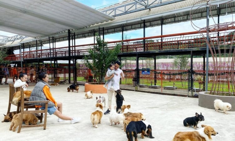 Du lịch 2/9 cùng gia đình nên đi đâu ở Đà Lạt? Gợi ý 5 địa điểm lý tưởng nhất định phải ghé