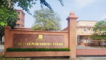 Vinacafé Biên Hòa bị xử phạt vì vi phạm môi trường, buộc di dời nhà máy