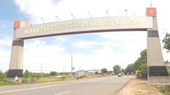 Công ty Đăng Minh Quân 