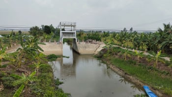 Thi công cứng hóa đê bao bờ Bắc K17, Phượng Thư – Long An góp phần thúc đẩy tăng sản lượng nông nghiệp