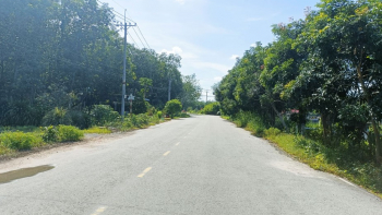 Tiến Phương tiếp tục 