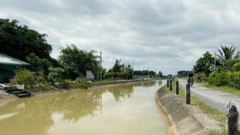 Công ty TNHH Cường Nam 