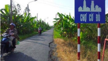 Phải chăng Phước Tiến Phát có bí quyết 