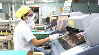 Nhiều nước tăng nhập khẩu hàng hóa Đồng Nai