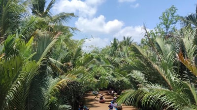 Công ty Tấn Lộc được chọn thi công gói thầu cải tạo tuyến đò chèo rạch Bà Ngoạn thuộc dự án giao thông thủy tại TP. Mỹ Tho, Tiền Giang