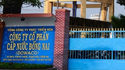 Duy nhất Công ty CP Kỹ thuật Á Châu tham dự và trúng gói thầu hơn hơn 4,7 tỷ đồng tại Dowaco Đồng Nai