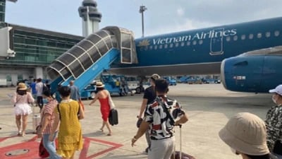 Gói thầu hàng không: Một nhà thầu 'về đích', tiết kiệm 0,47%