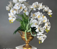 Chậu hoa lan giả lớn đẹp màu trắng tiện nghi CDB 07