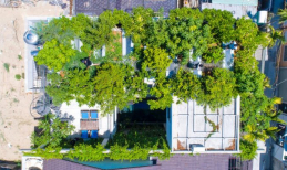 Giải pháp chống nóng mái nhà đẹp nhất với ý tưởng trồng cây xanh của KTS Võ Trọng Nghĩa