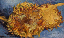 Tranh Hoa Hướng Dương của Van Gogh - Đóa hoa vô giá của hội họa thế giới