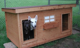20 ý tưởng xây nhà cực xinh cho các bé cún (P1)