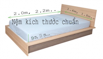 Mua nệm bông ép kích thước bao nhiêu thì phù hợp?