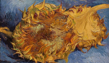 Tranh Hoa Hướng Dương của Van Gogh - Đóa hoa vô giá của hội họa thế giới