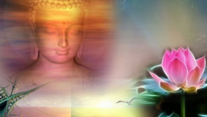 Hoa sen và Phật giáo: Ý nghĩa và biểu tượng