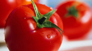 Đang cho con bú ăn cà chua được không? - Tìm hiểu lợi ích và rủi ro