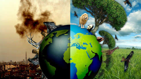 Vấn đề môi trường cấp bách: Giải pháp và hành động