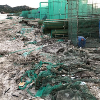 Một phần ven biển vịnh Cam Ranh bị ô nhiễm nghiêm trọng