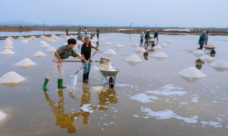 Hòa mình vào nhịp sống dân dã, trải nghiệm du lịch miền quê Nam Vân Phong