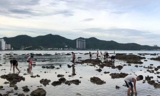 Nét đẹp độc đáo của Nha Trang vào mùa nước cạn