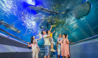 Độc đáo Bảo tàng Hải dương học ở Nha Trang - điểm đến lý tưởng để bồi dưỡng lòng yêu biển, yêu nước