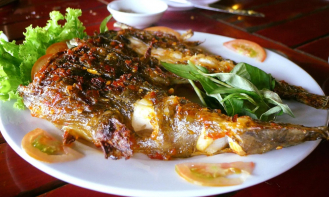 Loại hải sản “cực lạ” tại Nha Trang may mắn lắm mới được ăn, về Hà Nội có giá 2-3 triệu đồng/kg