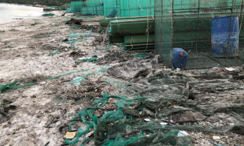 Một phần ven biển vịnh Cam Ranh bị ô nhiễm nghiêm trọng