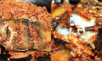Đặc sản món cá “ngon như thịt gà” chỉ có tại Nha Trang, cực hiếm nên thường chỉ dùng chiêu đãi khách quý