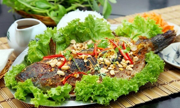 Độc đáo loài cá mú trân châu có thịt thơm ngon, giá bán đến 270.000 đồng/kg