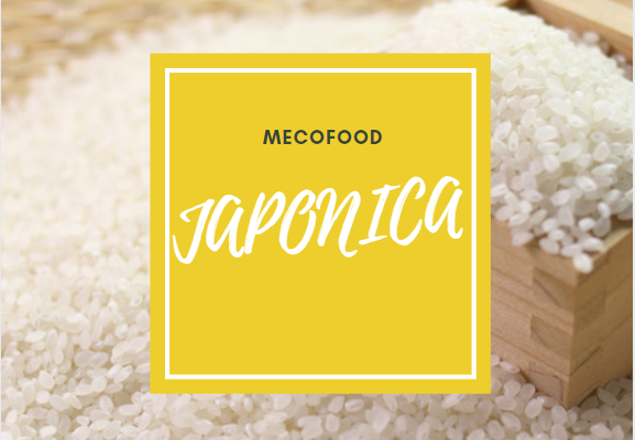 Gạo Nhật Japonica Mecofood Long An hạt tròn chất lượng xuất khẩu