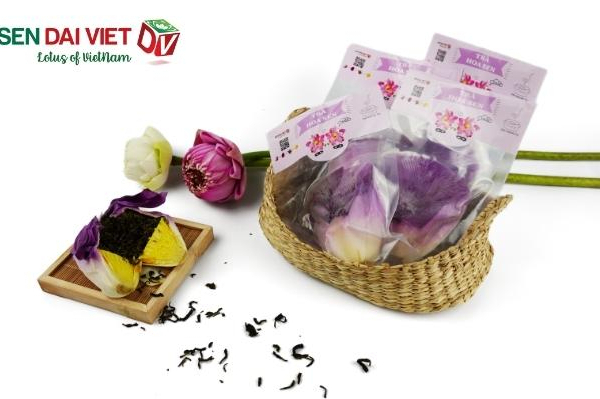 Trà hoa sen Sen Đại Việt - Thức trà hội tụ tinh hoa