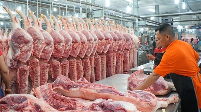 Thịt lợn chăn nuôi hữu cơ Hợp Phát, Hưng Yên