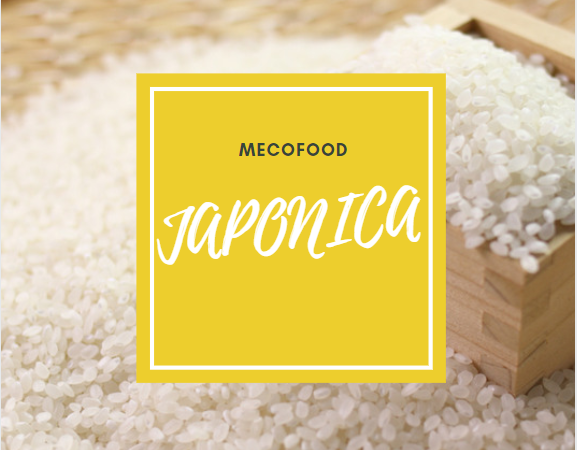 Gạo Nhật Japonica Mecofood Long An hạt tròn chất lượng xuất khẩu