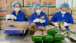 Người phụ nữ Tày và hành trình dùng sợi miến dong để viết lại câu chuyện giảm nghèo
