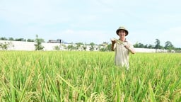Nghị quyết 57 là đòn bẩy chuyển đổi số ngành nông nghiệp