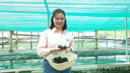 Cô nông dân xinh đẹp đầu tư hàng tỷ đồng nuôi ốc bươu đen công nghệ cao, mật độ siêu dày, lợi cho môi trường