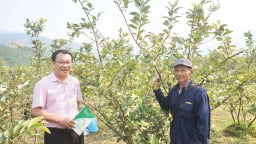 Dòng vốn tín dụng chính sách “chảy đều” nuôi niềm tin thoát nghèo bền vững cho người dân Đà Nẵng