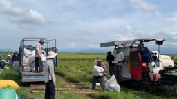 TP.Huế chủ động ứng phó bão số 5: Từ việc điều tiết hồ chứa đến thu hoạch lúa 'xanh nhà hơn già đồng'