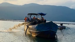 Hai người đàn ông bị bắt quả tang khi đang 'hút trộm' cát trên sông ở Lâm Đồng