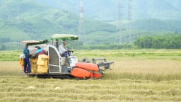 TP.Huế siết trách nhiệm chủ tịch xã, phường trong đẩy nhanh thu hoạch lúa hè thu để ứng phó mưa lũ 