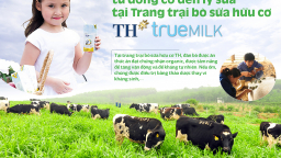 Mục sở thị quy trình từ đồng cỏ đến ly sữa  tại Trang trại bò sữa hữu cơ TH true MILK