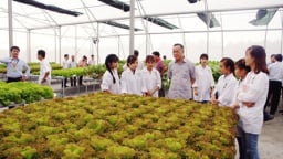 Đào tạo nhân lực chất lượng cao để ngành Nông nghiệp “vươn mình”