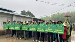 Hội Nông dân Tuyên Quang: Tổ chức \'Tết trồng cây đời đời nhớ ơn Bác Hồ\' Xuân Ất Tỵ 2025