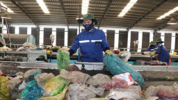 Phân loại rác ở Bình Dương: Người dân chưa quen, chính quyền chưa quyết liệt