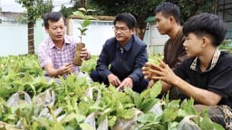 Xã Tu Mơ Rông Quảng Ngãi đổi toàn bộ hoa mừng Đại hội thành cây giống, vật tư cho nông dân