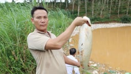 Vỡ hố chôn lấp rác thải phía Tây Quảng Ngãi kéo theo thiệt hại lớn cho nhiều hộ nông dân