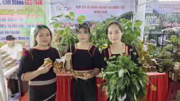'Cơn sốt' OCOP tại Quảng Ngãi: Hơn 25.000 người đổ về hội chợ, doanh thu vượt mốc 5 tỷ, kỷ lục chưa từng có