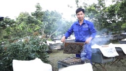 'Cú hích' từ 100 triệu đồng vốn vay: Bí quyết giảm nghèo của người nông dân có thu nhập tiền tỷ