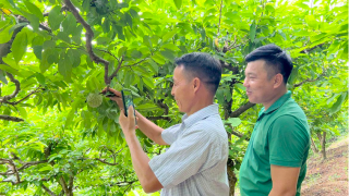 Khuôn Thống: Thôn đầu tiên 'hóa phố' 4.0, nông dân tự tin livestream bán nông sản