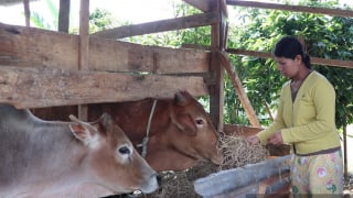 Giảm nghèo bền vững ở nông thôn: Thiếu thông tin là 'điểm nghẽn' có tính bao trùm