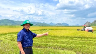 Khi máy bay không người lái sải cánh trên đồng lúa hữu cơ: Cuộc cách mạng nông nghiệp ở xã nghèo sau sáp nhập